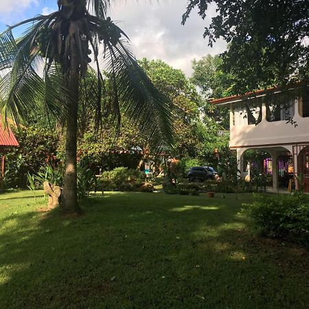 Casa Ballena Eco Hostel 우비타 외부 사진