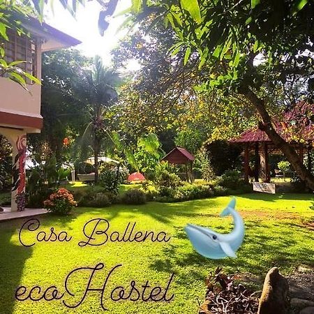Casa Ballena Eco Hostel 우비타 외부 사진
