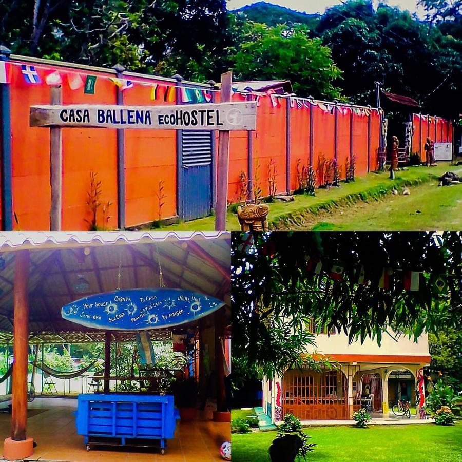 Casa Ballena Eco Hostel 우비타 외부 사진