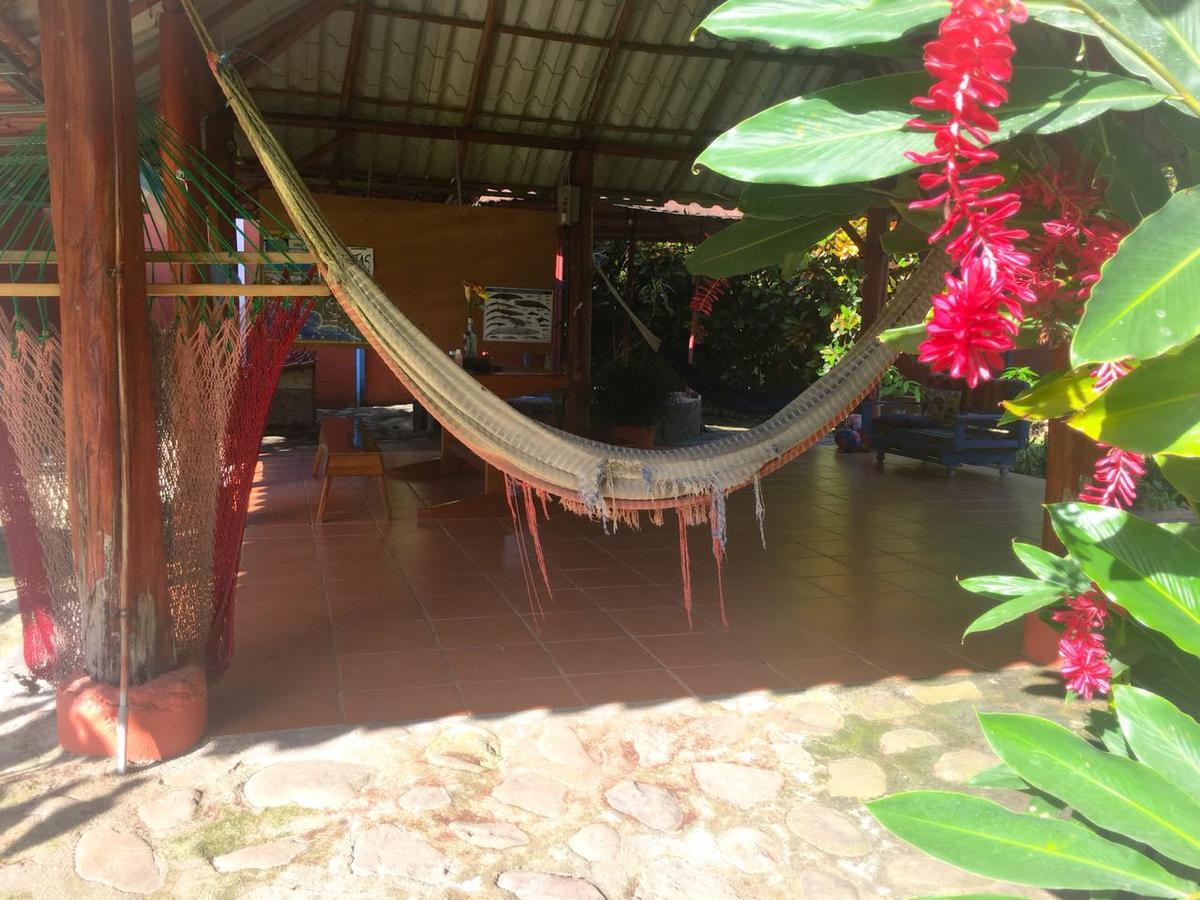 Casa Ballena Eco Hostel 우비타 외부 사진